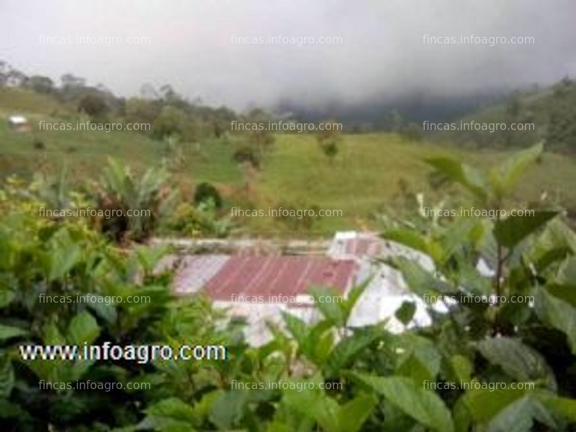 Fotos de Se vende inmobiliaria dumont vende finca agricola en santo domingo la grita edo.tachira venezuela.pequeñ