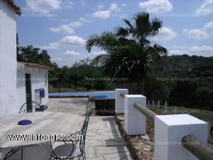 En venta  finca de 40  hectareas  en cortegana.