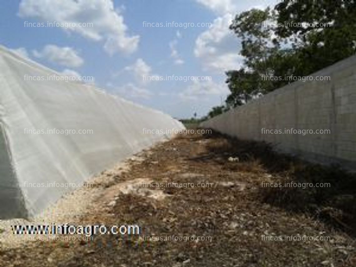 Fotos de Se vende remate estructura casa sombra 11,230 mts