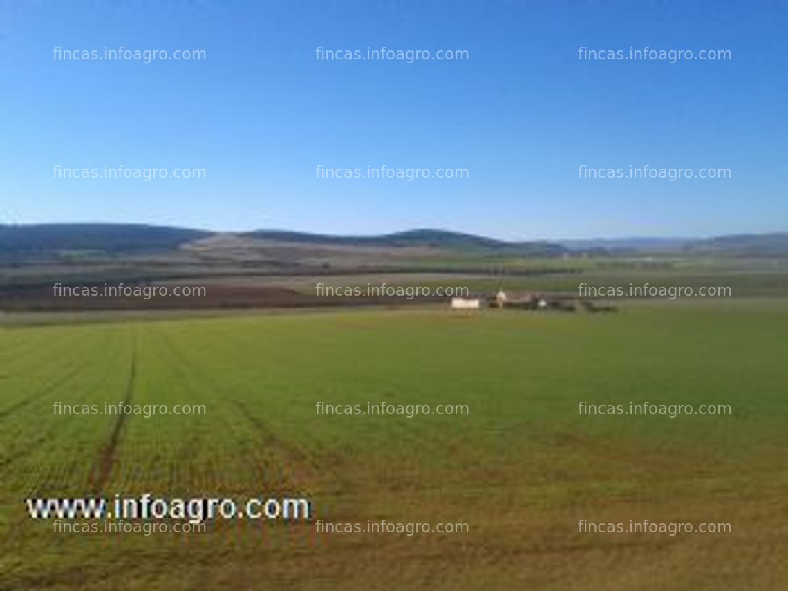 Fotos de Se vende finca rustica  48 hectareas