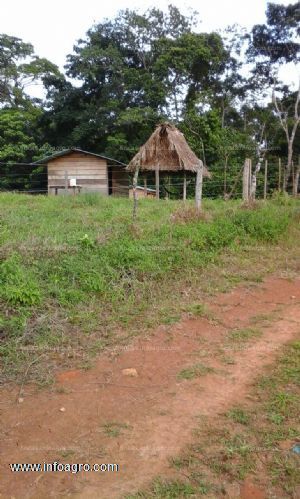 Vendo 130 hectareas ,chiguiri arriba con agua y caminos de acceso