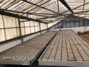 A la venta mesas de cultivo para invernadero