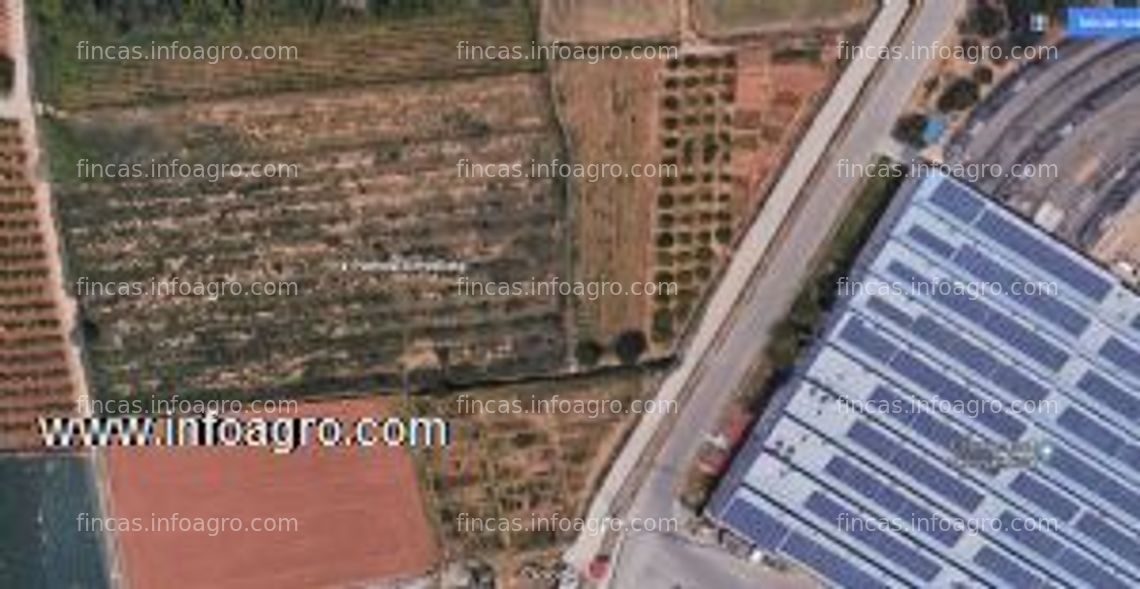 Fotos de Vendo parcela rustica de 2506 m2