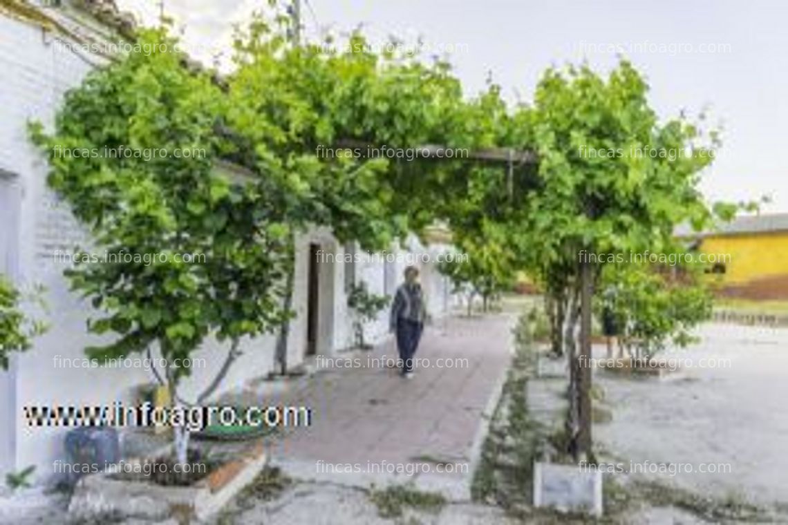 Fotos de Se vende o de explotación agrícola en toledo