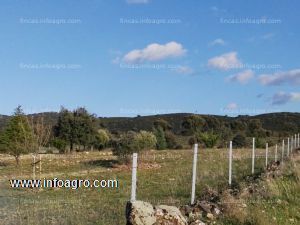 A la venta preciosa finca vallada con olivos y arboles frutales - ocasión en venta