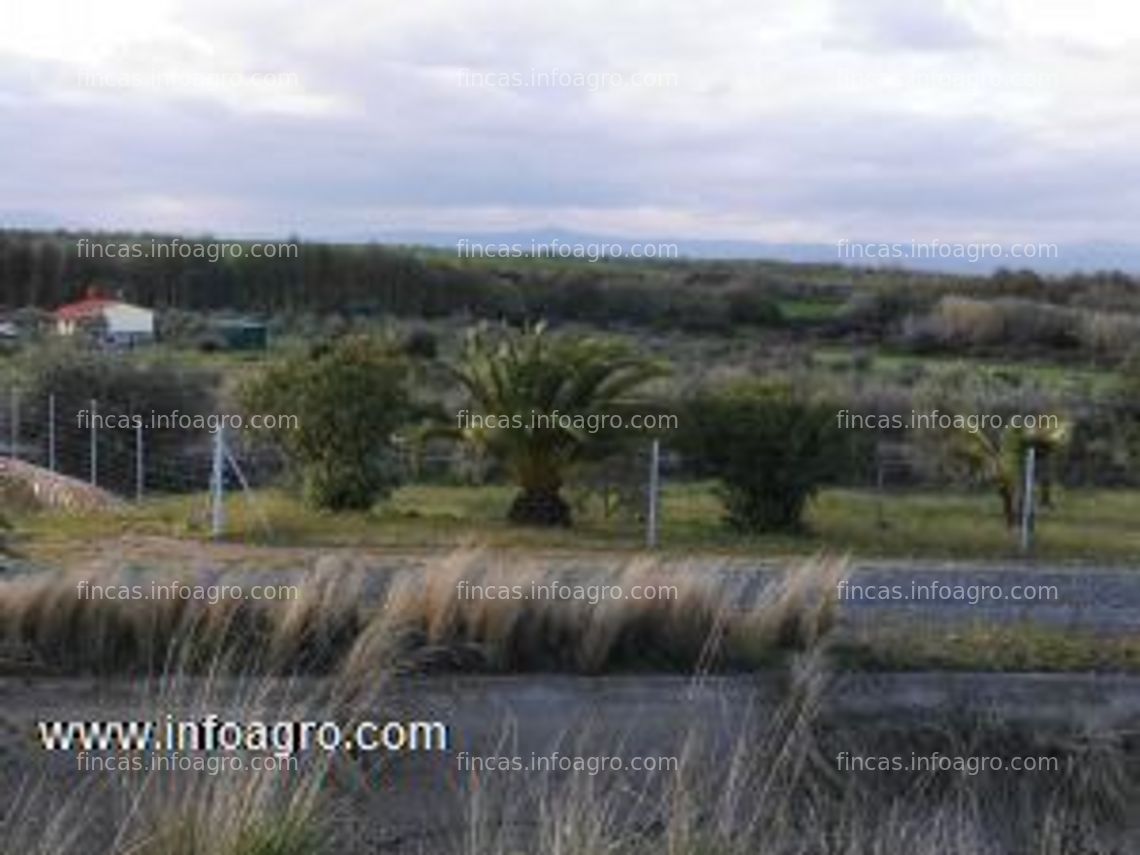 Fotos de A la venta preciosa finca vallada con olivos y arboles frutales - ocasión en venta