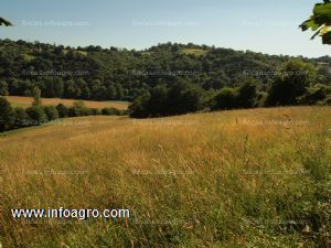 Se vende finca rustica