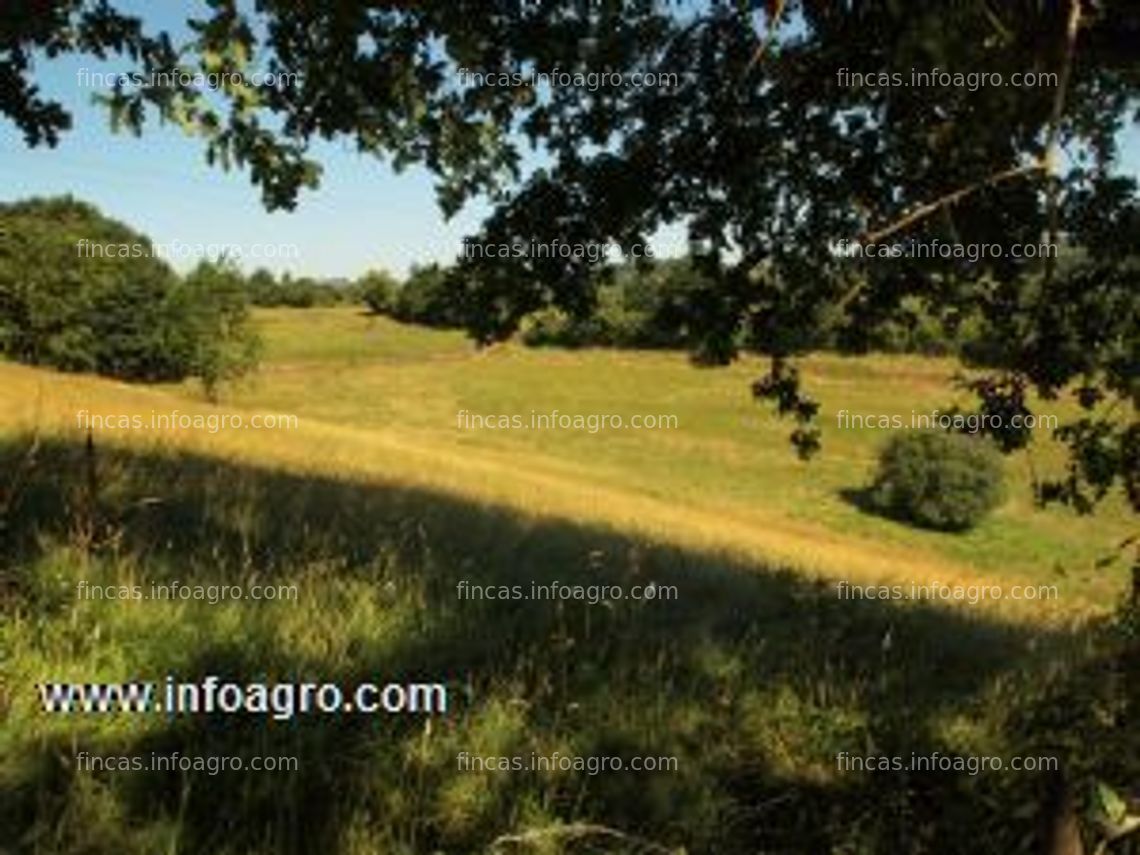 Fotos de Se vende finca rustica