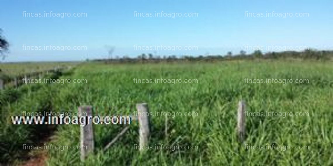 Fotos de En venta  1330 ha estancia - horqueta paraguay