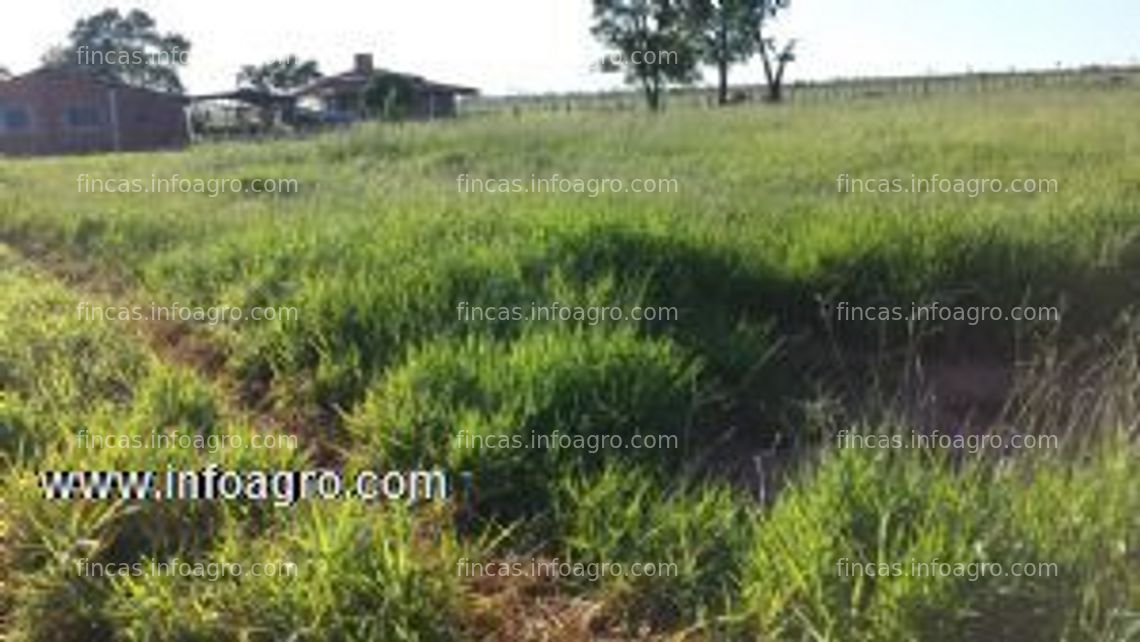 Fotos de En venta  1330 ha estancia - horqueta paraguay