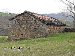 En venta  finca mas cabaña pasiega en bustiyerro ( ayto san pedro del romeral) cantabria