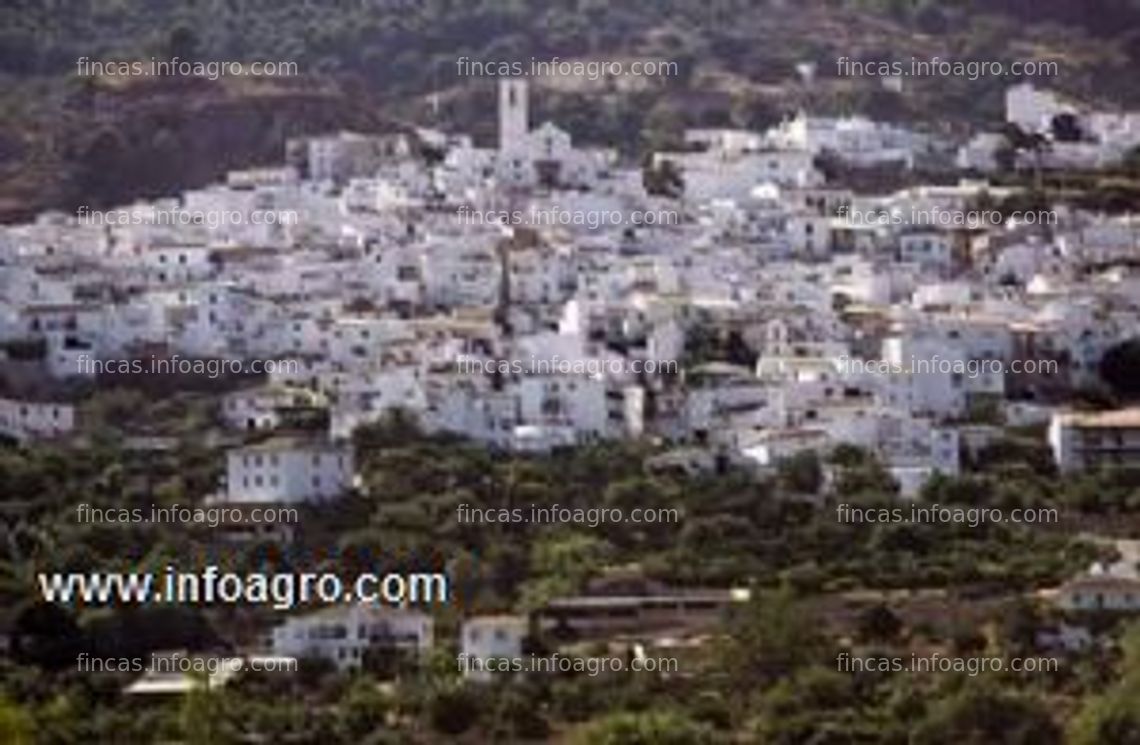 Fotos de Se vende terreno agricola