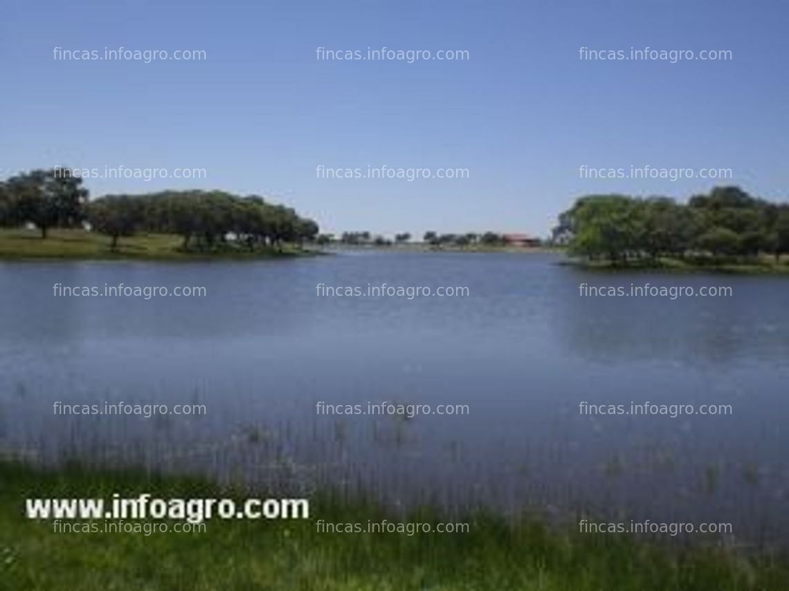 Fotos de En venta   fincas ganaderas  en la comarca del valle de los pedroches - córdoba - andalucia