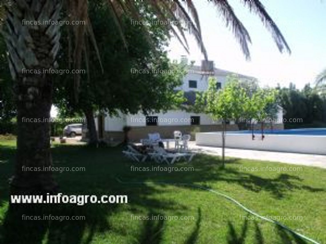 Fotos de En venta  finca 18 has. con caserío de 450 m2. piscina 10x20 agua potable pozo registrado, electricidad linea particular, en Marchena, Sevilla