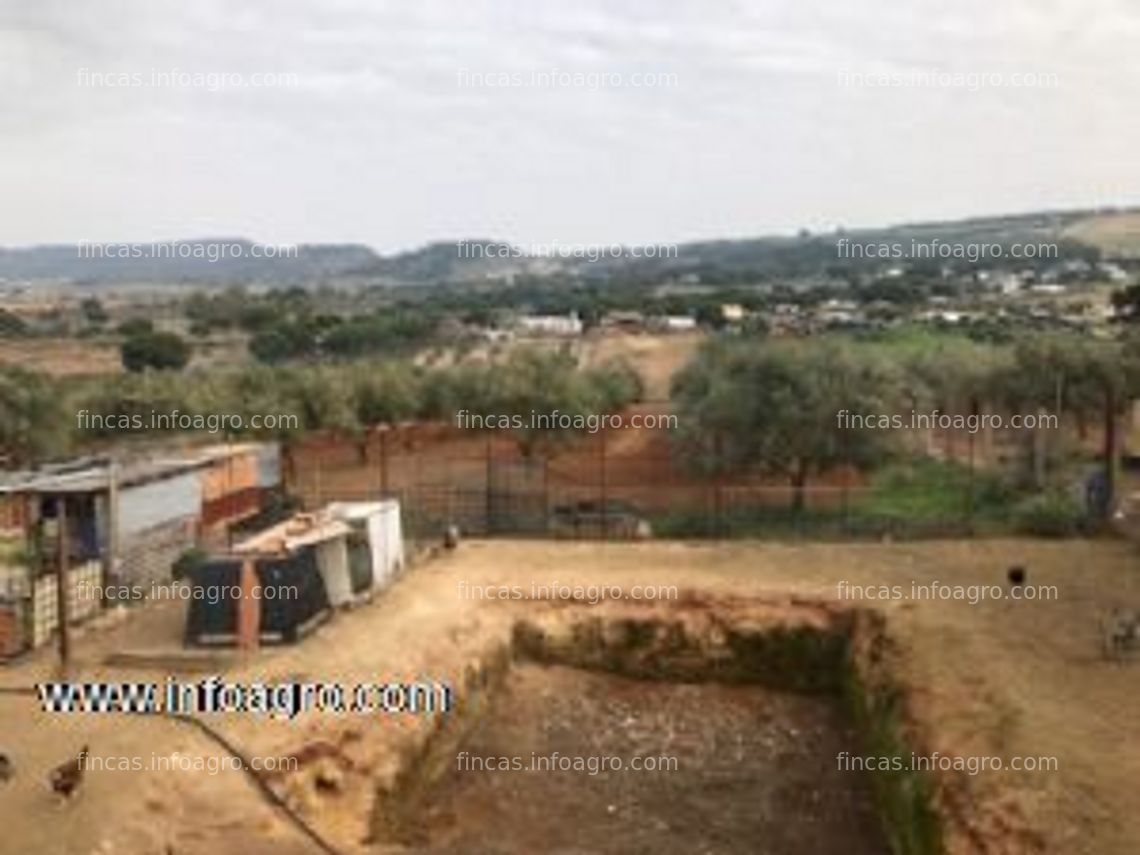 Fotos de En venta  finca en la zona de la sierpe de los pinares (arcos de la fra.)