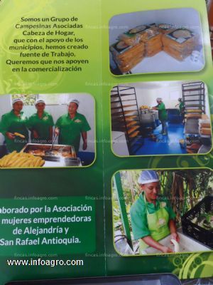 En venta finca cultivos plátano,con micro empresa para transformar en san rafael antioquia colombia
