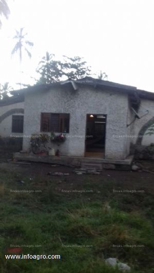 A la venta finca de 170 ha, a 20 km de santa marta(magdalena)