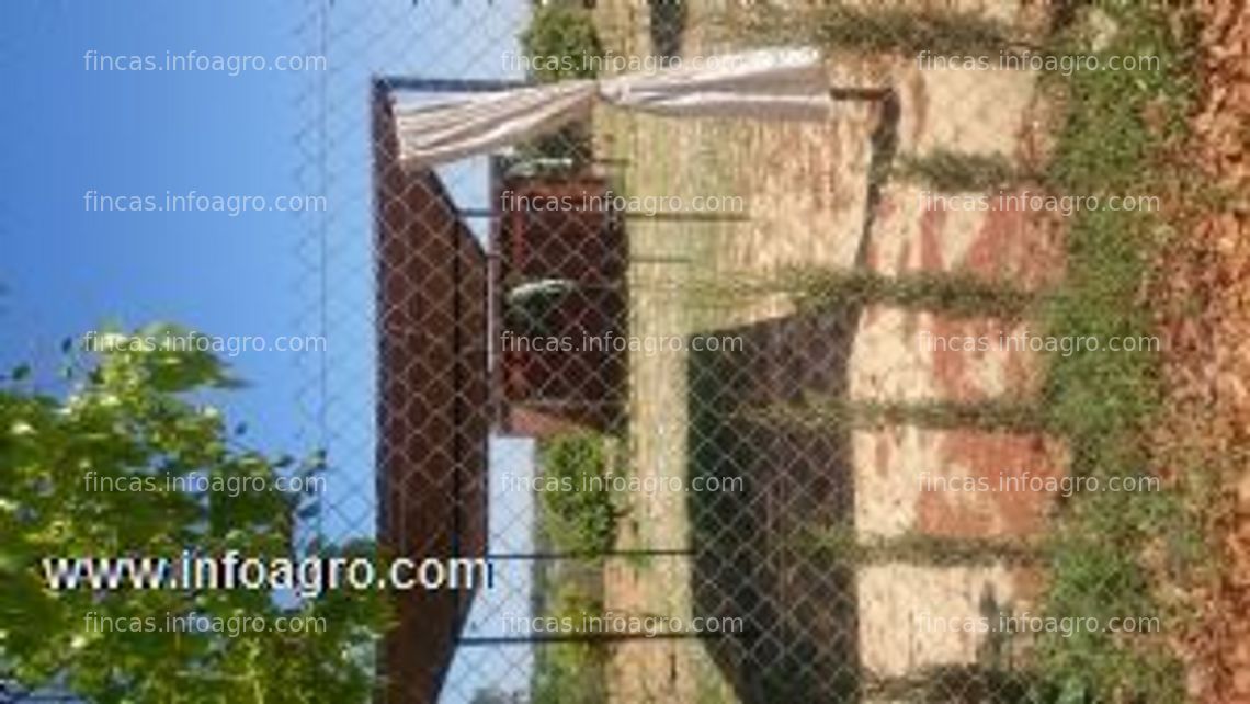 Fotos de A la venta terreno rustico utrera