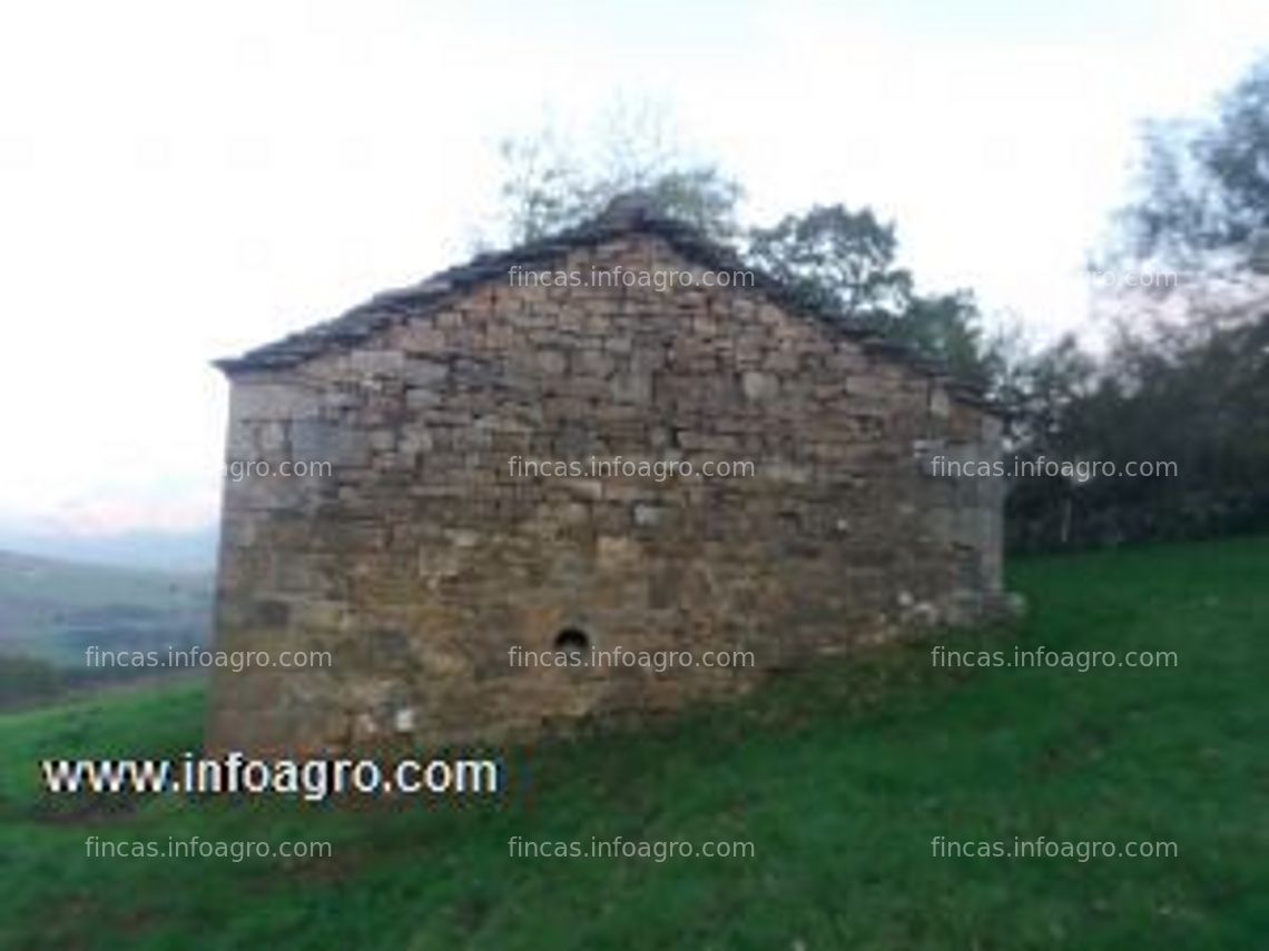 Fotos de En venta  finca mas cabaña pasiega en bustiyerro ( ayto san pedro del romeral) cantabria