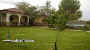 En venta  finca rústica  mas chalet en los palacios y villafranca,15 minutos desde sevilla.