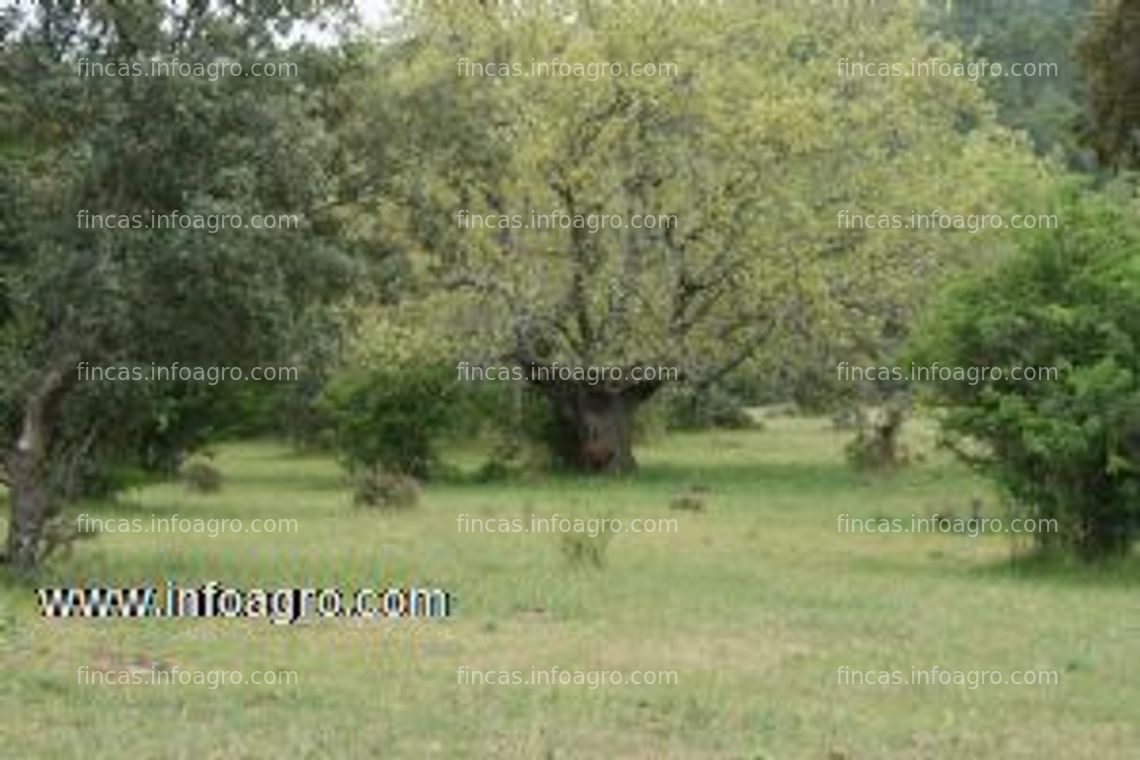 Fotos de En venta  Finca rústica en Ávila