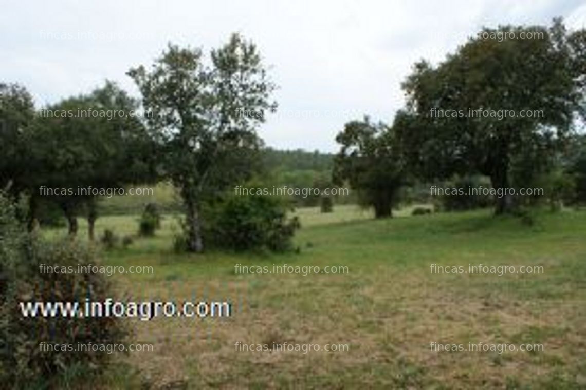 Fotos de En venta  Finca rústica en Ávila