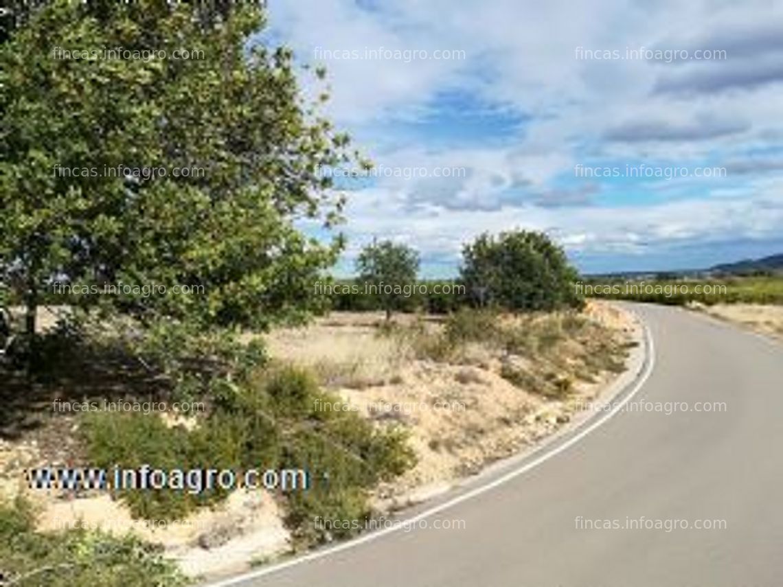 Fotos de En venta  campo secano   viña   o almendros