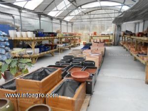 En venta  o centro de jardineria funcionando en llanes asturias