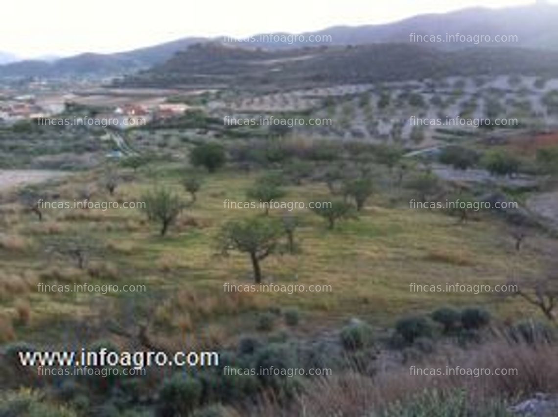 Fotos de Vendo fincas rusticas en los puertos de santa barbara, cartagena, murcia