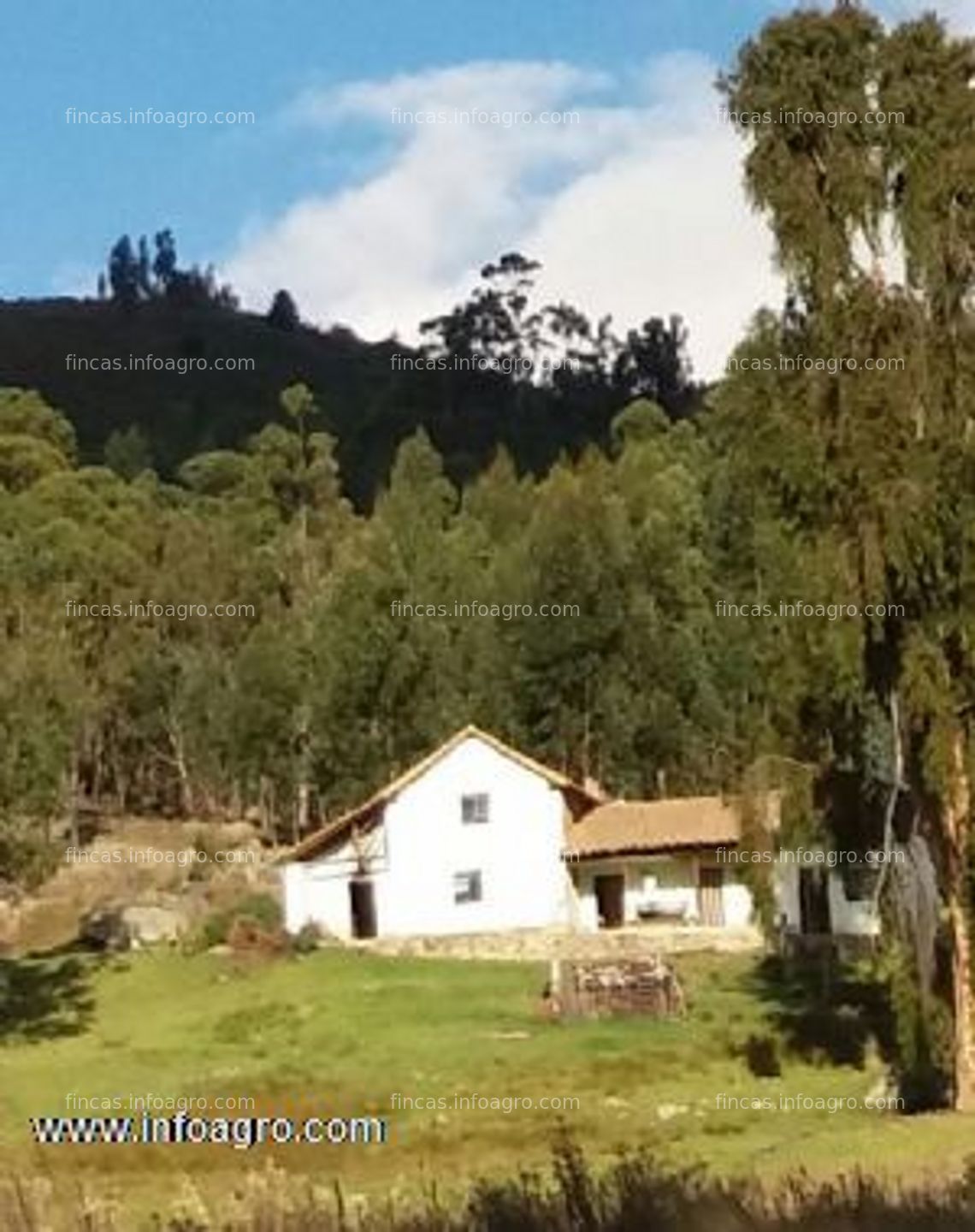 Fotos de A la venta inmobiliaria dumont vende finca en iza boyacà colombia.