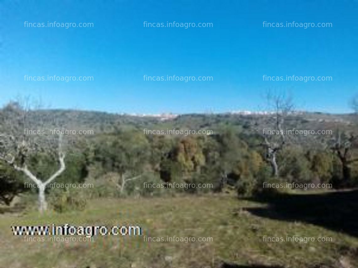 Fotos de En venta  finca rustica en cumbres mayores