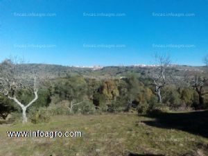 En venta  finca rustica en cumbres mayores