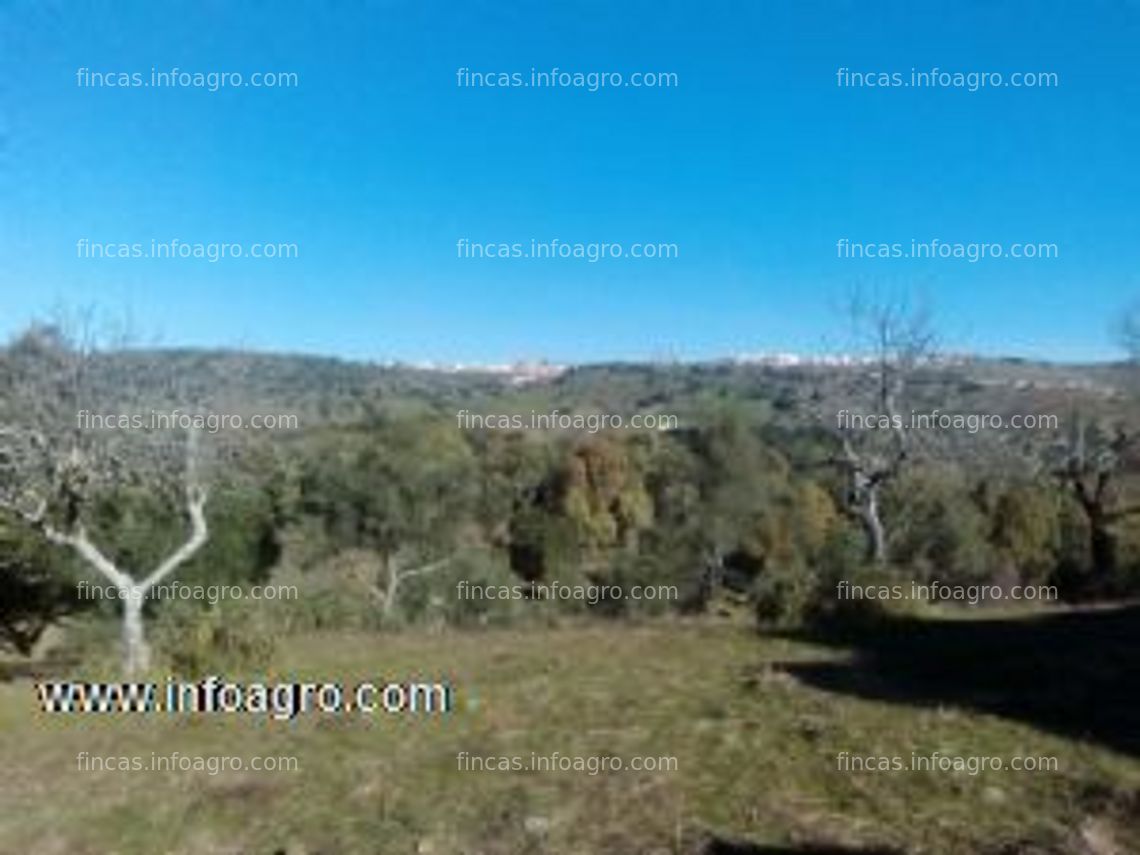 Fotos de En venta  finca rustica en cumbres mayores