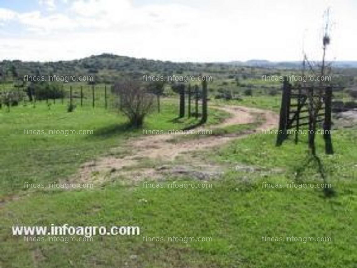 Fotos de A la venta finca rustica en uruguay (punta del este) inversión productiva