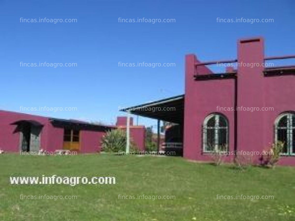 Fotos de A la venta finca rustica en uruguay (punta del este) inversión productiva