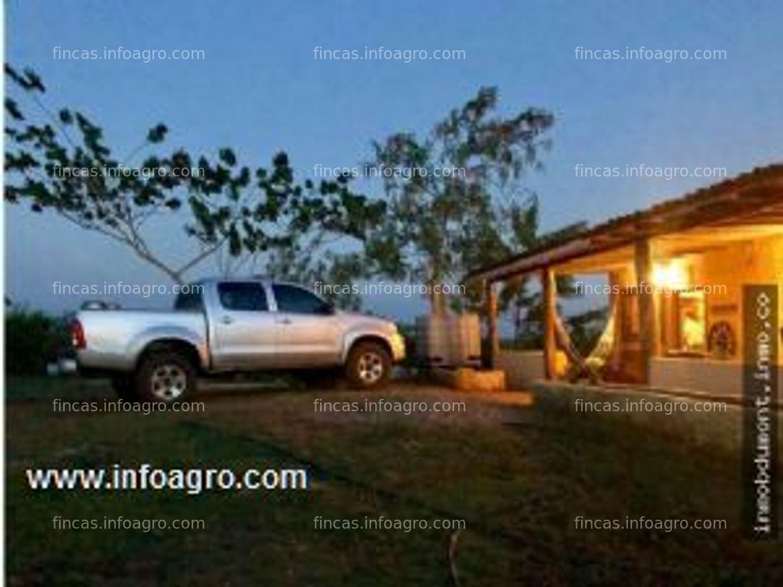 Fotos de En venta  inmobiliaria dumont vende extensa y productiva finca ganadera en zaraza edo.guàrico venezuela.