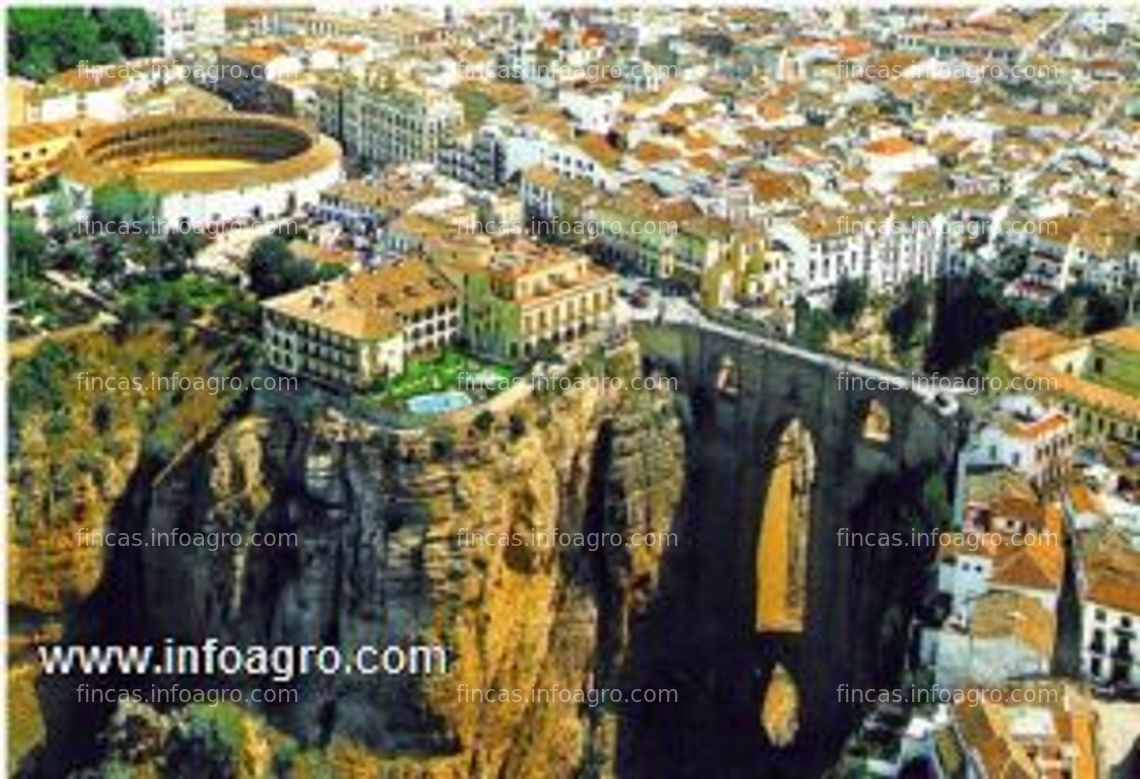 Fotos de Vendo exclusivo  complejo rural  en sierra de las nieves  ronda malaga