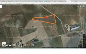 A la venta terreno en la carretera de arenas-villarrubia