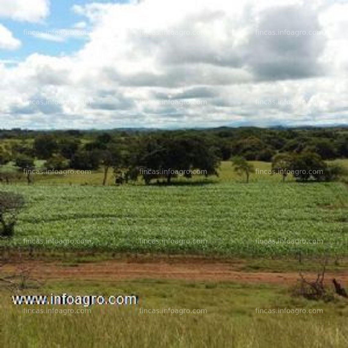 Fotos de Se vende inmobiliaria dumont vende hacienda provincia de herrera cabuya de parita en panamà.