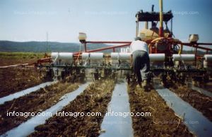 A la venta plásticos agrícolas