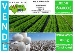 Vendo finca de regadío