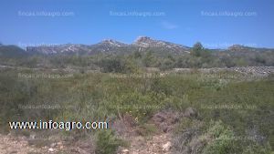 En venta  finca rustica con 14269m2 una oportunidad unica