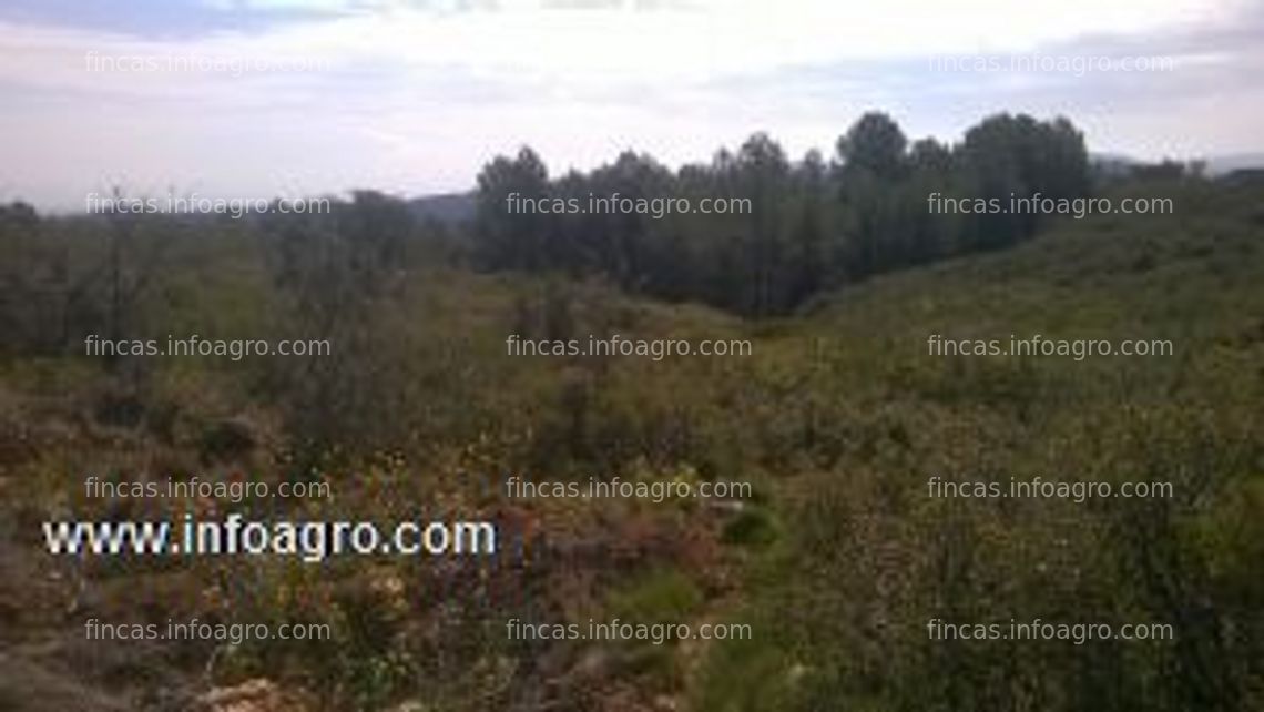 Fotos de En venta  finca rustica con 14269m2 una oportunidad unica