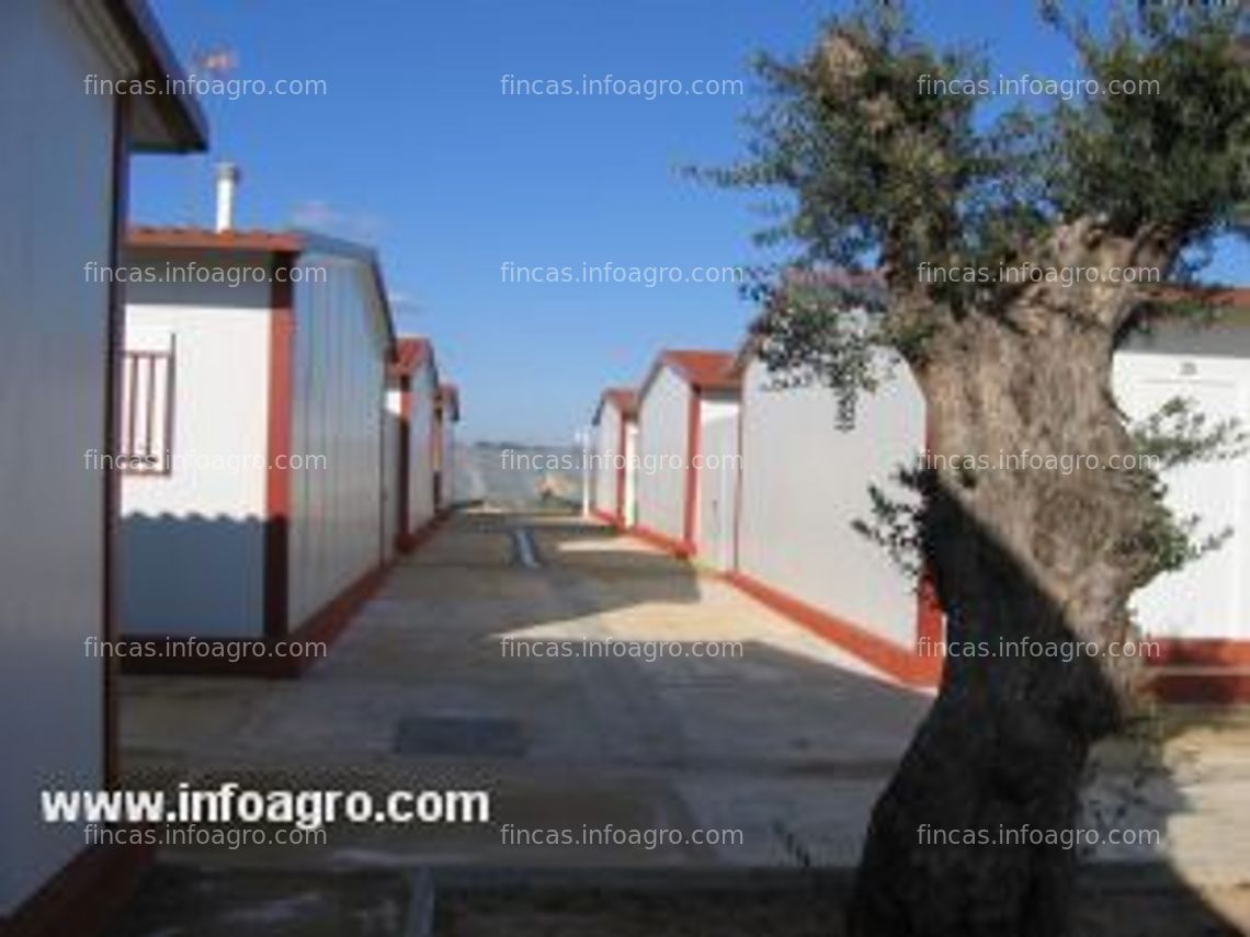 Fotos de A la venta viviendas de temporeros subvencionadas