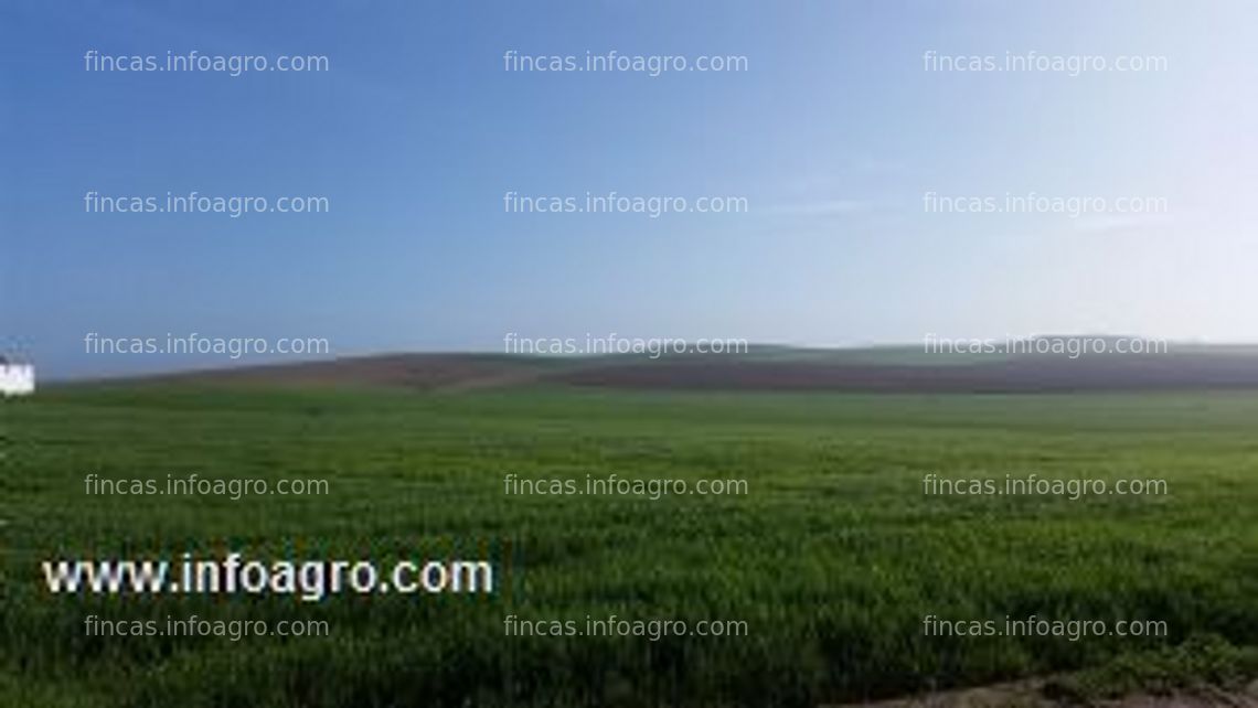 Fotos de En venta  finca rustica de labor de regadio y secano en huelva.