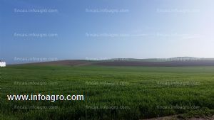 En venta  finca rustica de labor de regadio y secano en huelva.