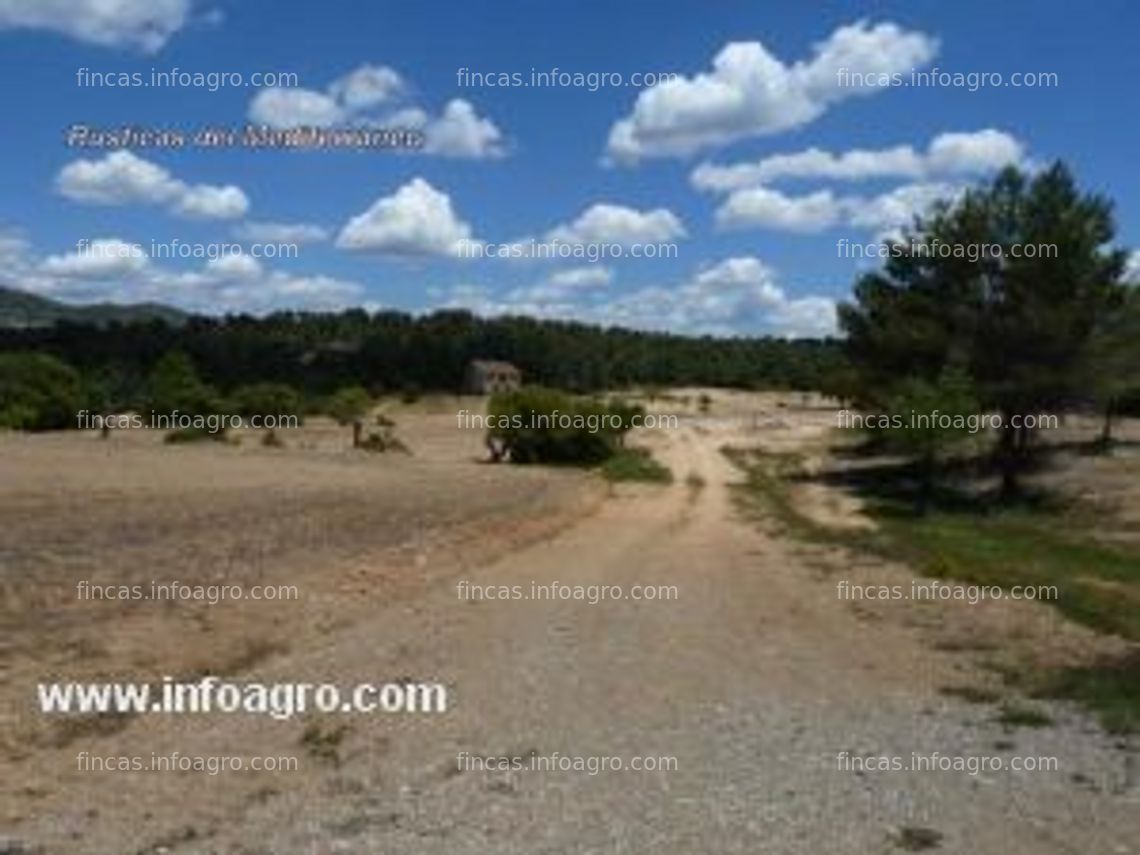 Fotos de Se vende masía de 23 hectáreas - mucha caza