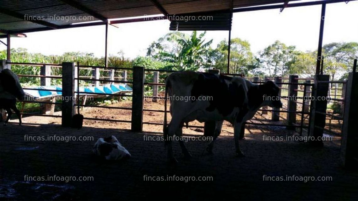 Fotos de A la venta finca san martin, meta, colombia