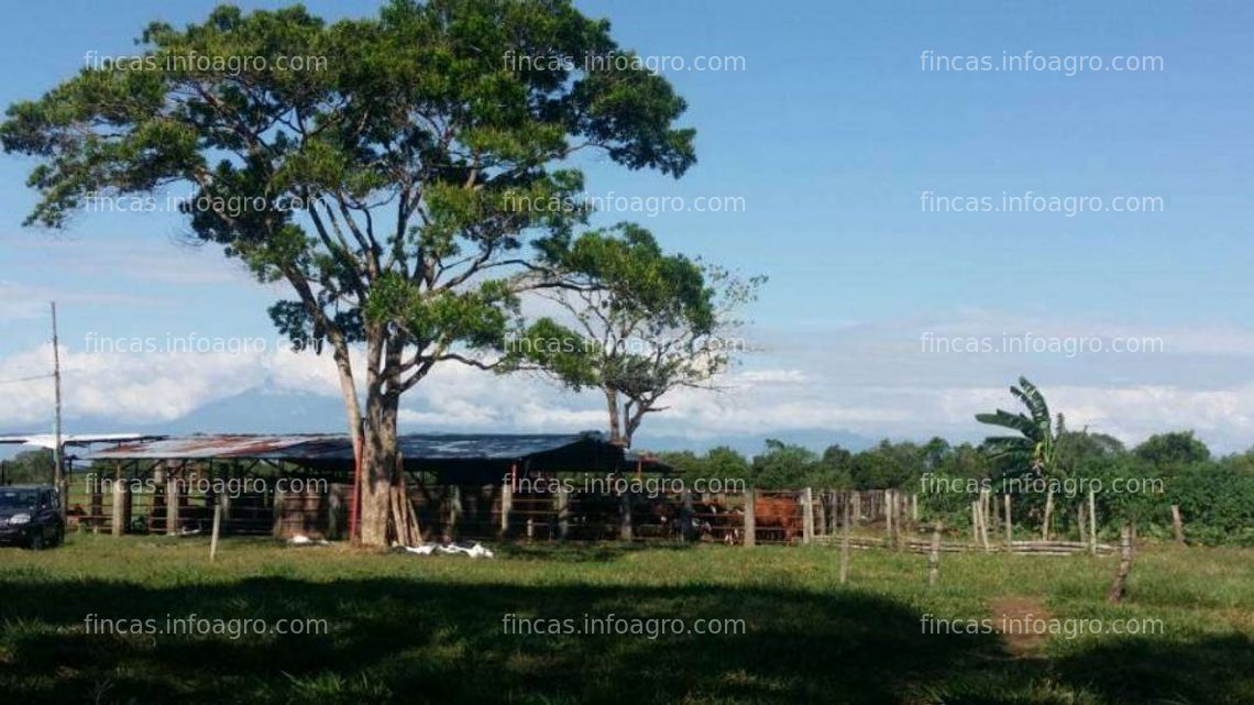 Fotos de A la venta finca san martin, meta, colombia