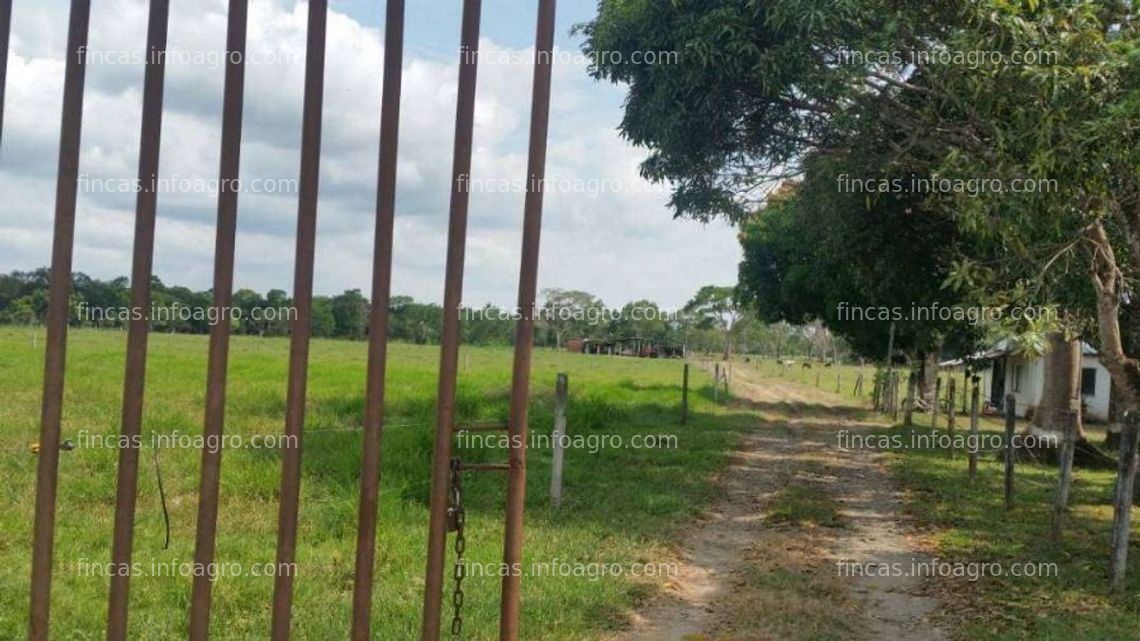 Fotos de A la venta finca san martin, meta, colombia